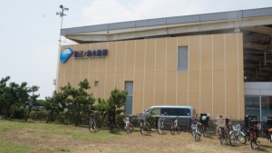 新江の島水族館 (2)